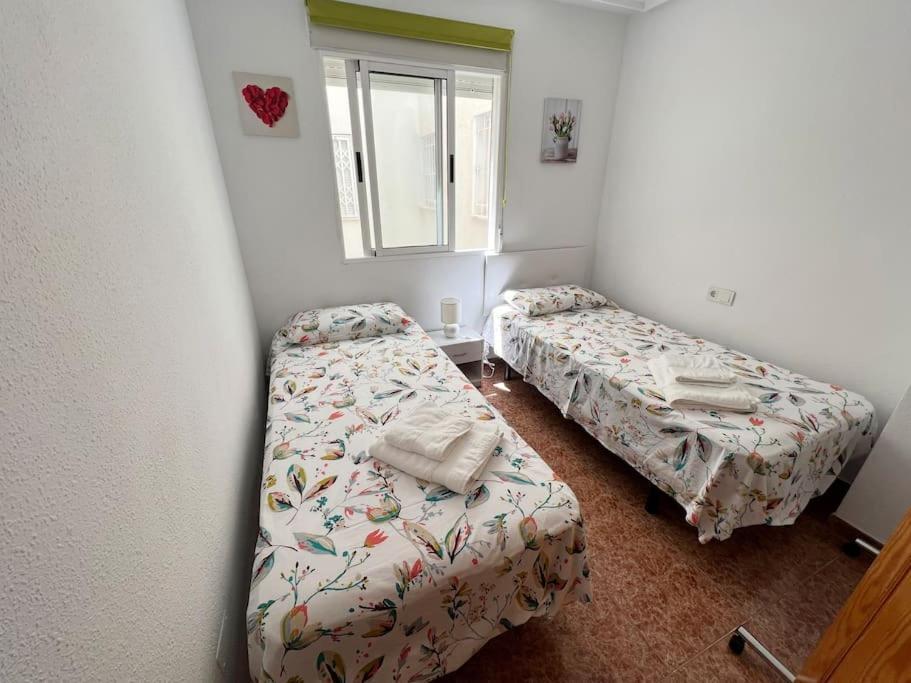 Nice And Central Apartment تورّيفيِخا المظهر الخارجي الصورة